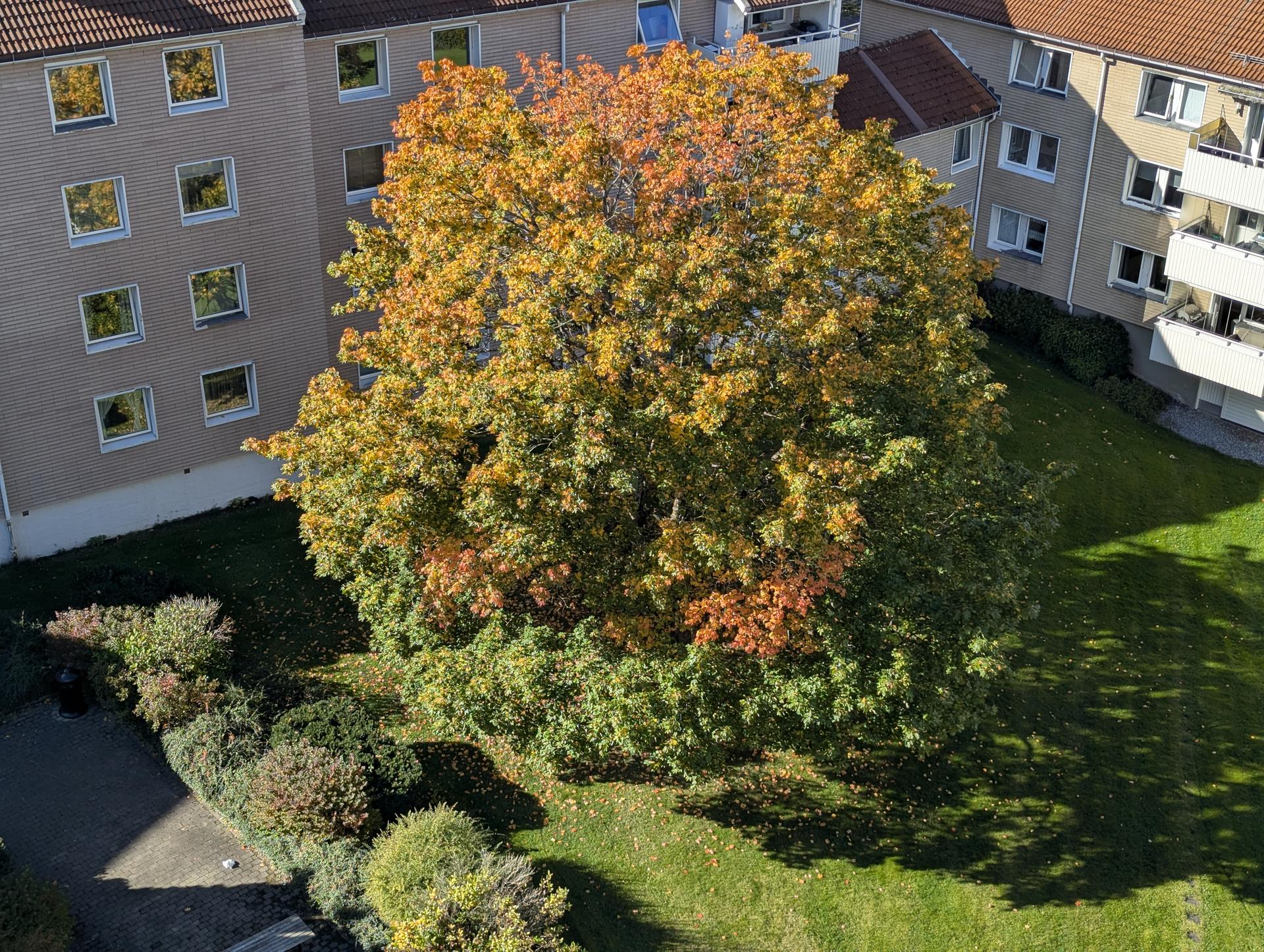 20260926131152.jpg