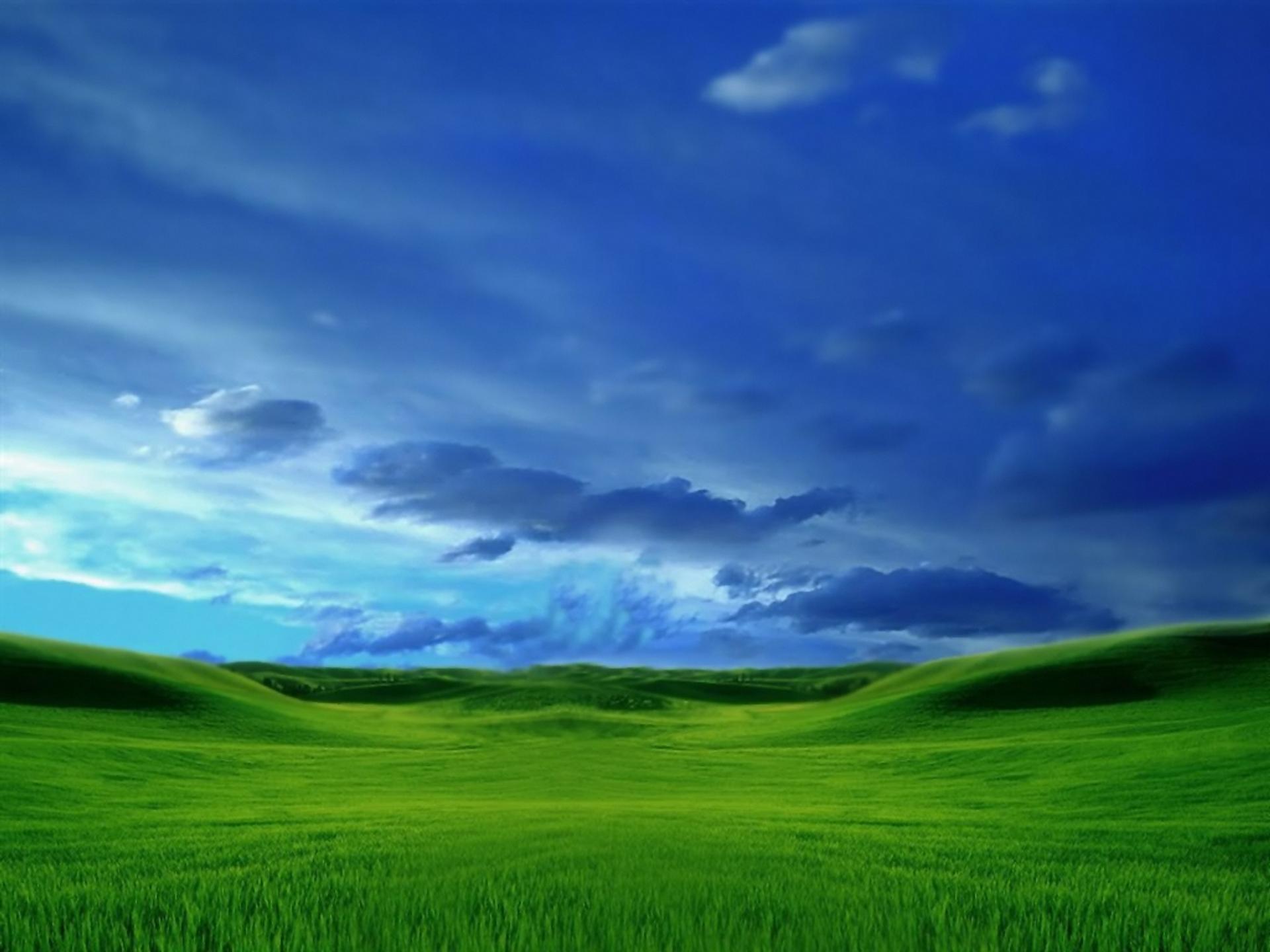 Bliss2.jpg