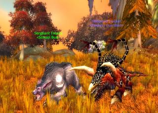 felpuppy.jpg