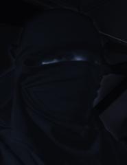 skade.png