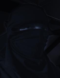 skade.png