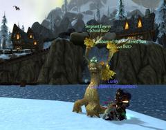 treestuck.jpg